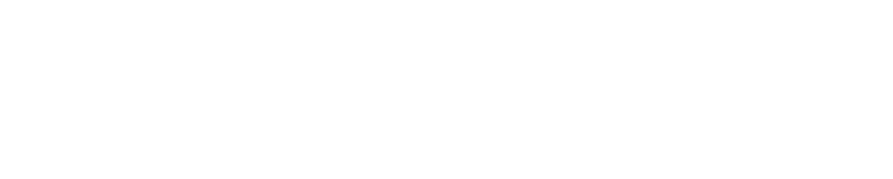 Corella Resources Logo White Landscape version
